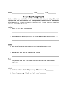 Coral Reef Assignment Handout (given in class)