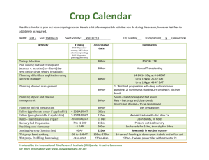 Crop calendar example - Rice Knowledge Bank