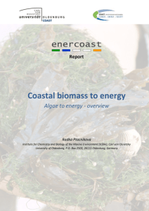 enercoast coastal biomass to energy