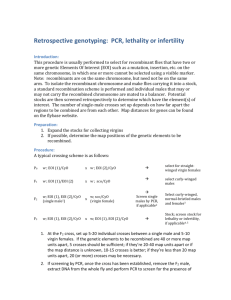 Retrospective genotyping (by PCR, lethality, or infertility)