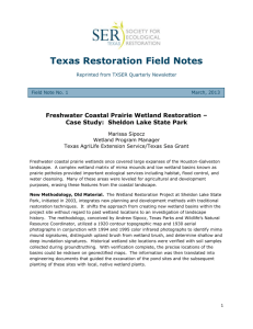 Texas-Restoration-Field-Notes-No-1-Sheldon