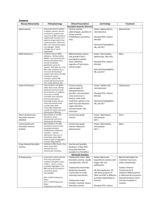 Hematology-Path Chart (Michelle)