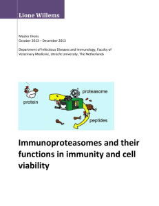 Immunoproteasomes and their functions in immunity and cell viability