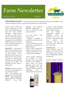 Farm Newsletter - Struthers & Scott