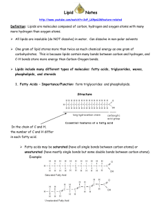 Lipids_NOTES with links[1]