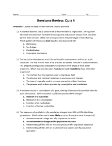 Keystone 4 Final Review