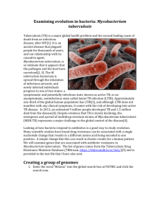Exploring-antibiotic-resistance-in-Mycobacterium