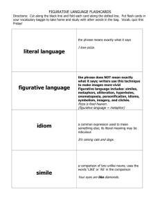 Figurative Language Vocabulary