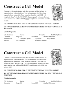 3D Cell Model Project Information