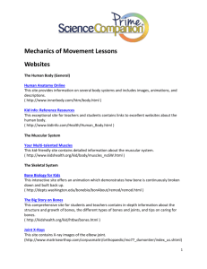 Mechanics of Movement Lessons