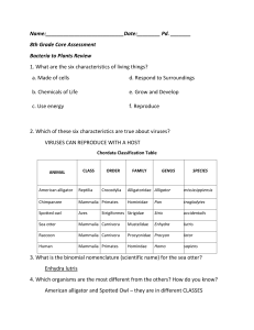 Study Guide for Core Answer Sheets