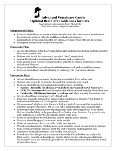 Optimal Care Guidelines for Cats