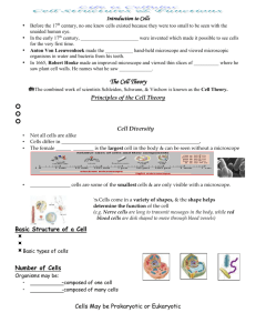 Cell Fill In Notes