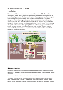 Nitrogen in agriculture