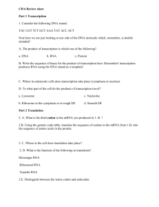 ch 6 review sheet