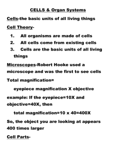 CELLS & Organ Systems Cells-the basic units of all living things Cell