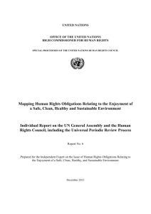 Individual Report on the UN General Assembly and the Human