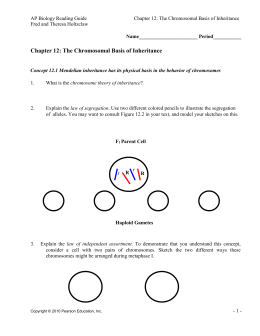 ap biology reading guide fred and theresa holtzclaw chapter 54 answers Ap biology reading guide fred and theresa holtzclaw answers chapter 4 check out the ebook ap biology reading guide fred and theresa holtzclaw answers chapter 4 by. ap biology reading guide fred and theresa holtzclaw chapter 54 answers Ap biology reading guide fred and theresa holtzclaw answers chapter 4 check out the ebook ap biology reading guide fred and theresa holtzclaw answers chapter 4 by.