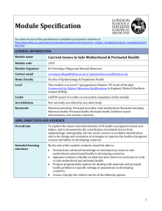 2459 Current Issues in Safe Motherhood Module Specification