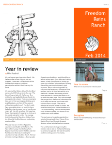 Year in review - Freedom Reins Ranch