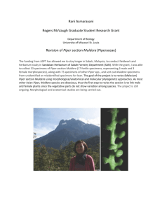 Piper - American Society of Plant Taxonomists