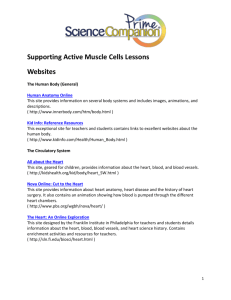 Supporting Active Muscle Cells Lessons