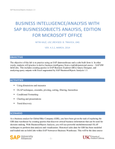 BusinessObjects Analysis