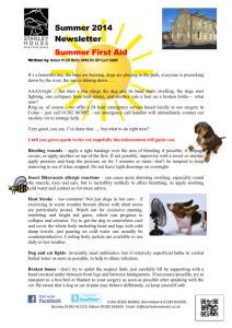 July & August Newsletter - SUMMER FIRST AID
