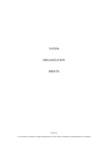 TOTEM ORGANIZATION SHEETS Written by: V.Avati (Software