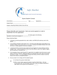 Equine Adoption Contract - Safe Harbor Equine and Livestock