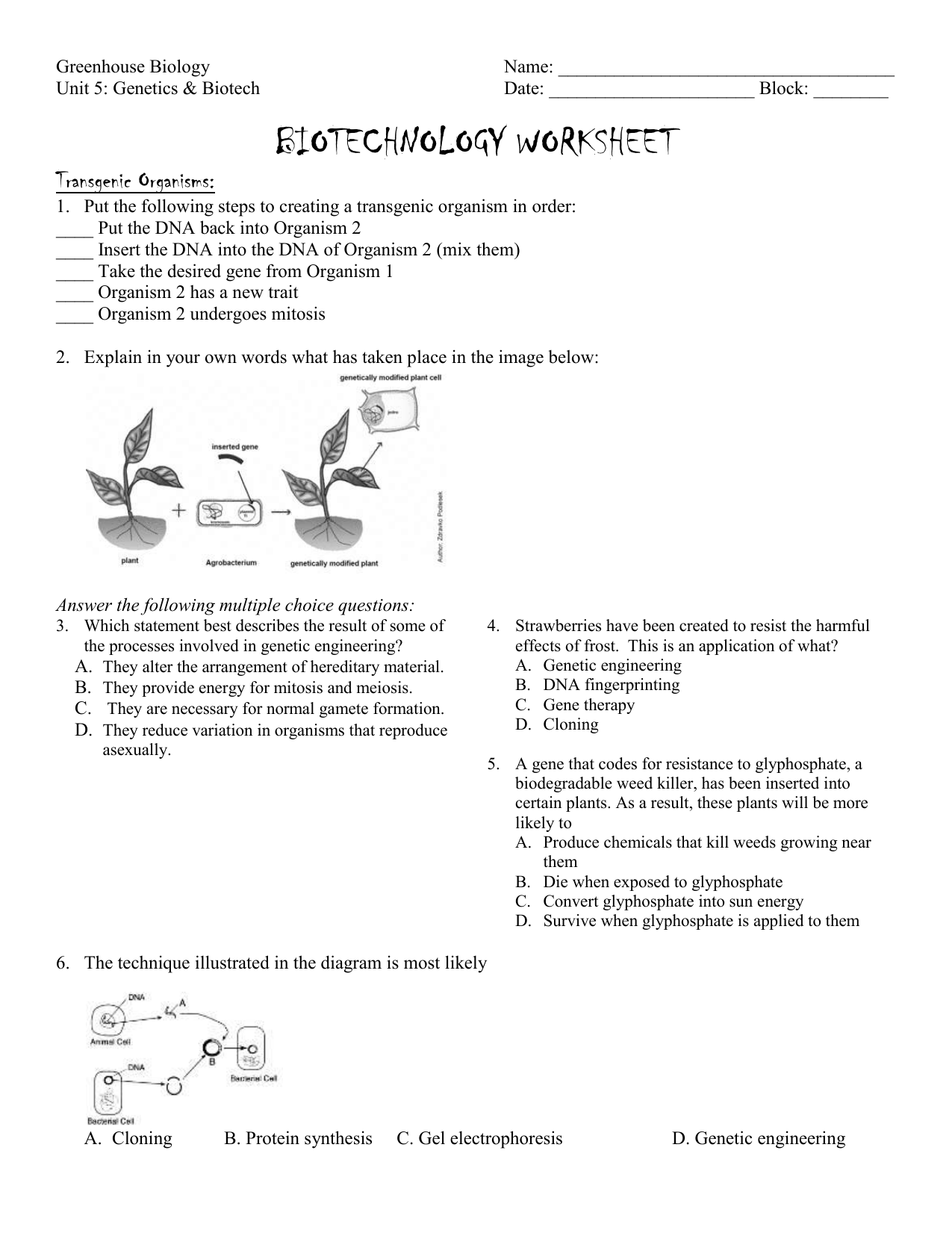 Gel Electrophoresis Worksheet Answers