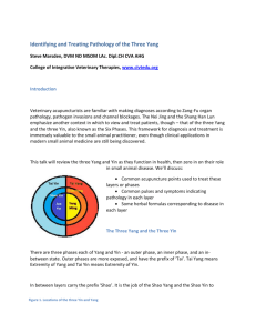 Identifying and Treating Pathology of the Three Yang