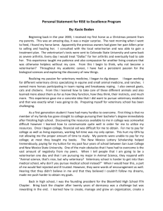 Personal Statement for RISE to Excellence Program By