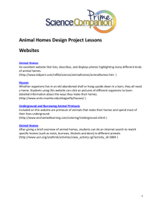 Animal Homes Design Project Lessons