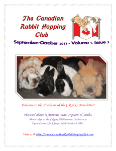 Would it be a good idea to do general deworming for club rabbits