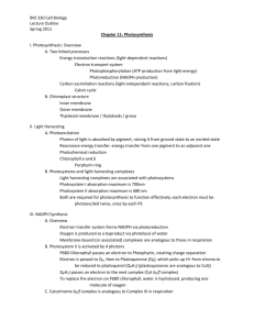 BIO 330 Cell Biology Lecture Outline Spring 2011 Chapter 11