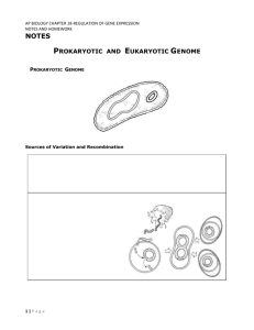 notes prokaryotic and eukaryotic genome