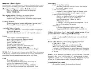 Testicular Pain Show Notes (Word Format)