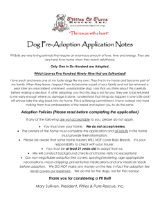 Our 2014 dog pre-adoption application