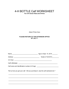 Bucket/Bottle Calf Worksheet