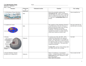Eukaryotic Cell Structure Notes
