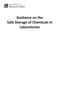 Guidance on the Safe Storage of Chemicals in Laboratories Version