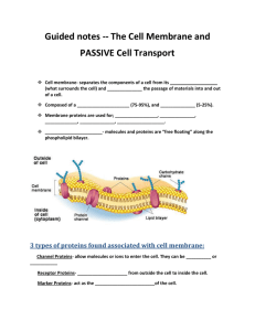 3 types of proteins found associated with cell membrane