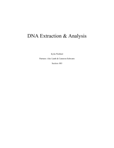 DNA Extraction & Analysis Kylie Walford Partners: Alec Lamb