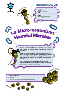 Harmful Microbes - e-Bug