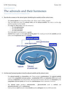 Cortisol mechanism of action