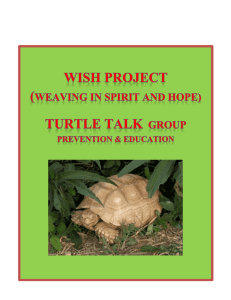 Turtle Talk `WISH` Handbook