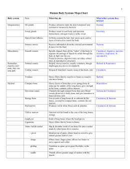 Body Systems Web Unit Worksheets