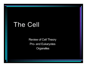 Cell Organelles Powerpoint