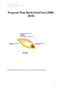 Program Plan BarleyFunFood (2008